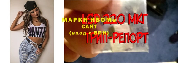 таблы Богданович