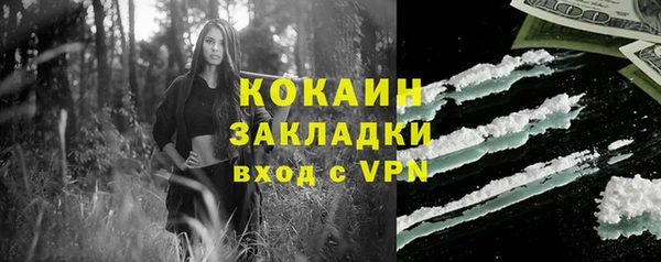 кокс Билибино