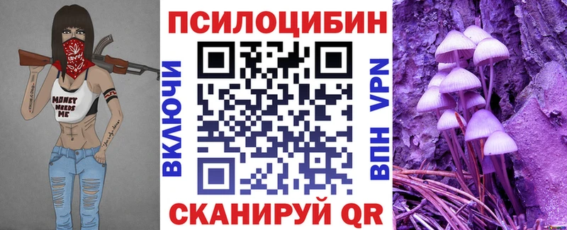 мега вход  Вилюйск  Галлюциногенные грибы Cubensis 